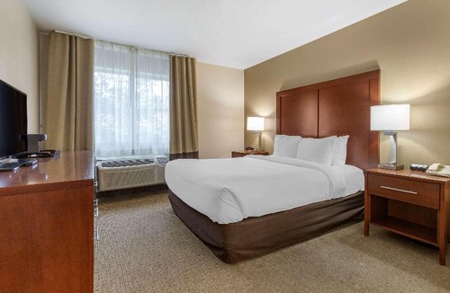 Los Alamos Hotel | Comfort Inn & Suites Los Alamos