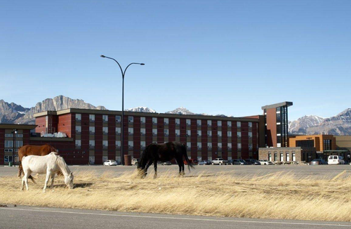 Kananaskis Hotel | Stoney Nakoda Resort & Casino
