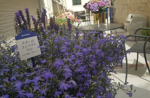 Hyakunincho Hotel | Hotel Blue Empire in Shinjuku