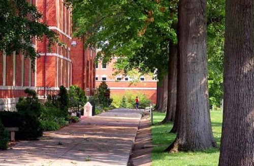 Jackson Hotel | Courtyard by Marriott Jackson