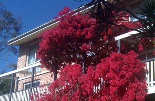 Linley Point Hotel | Linley House