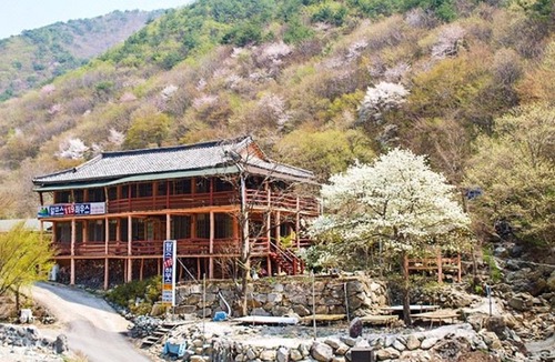 Ulsan Hotel | Ulsan Baenaegol Alps 119 House Pension
