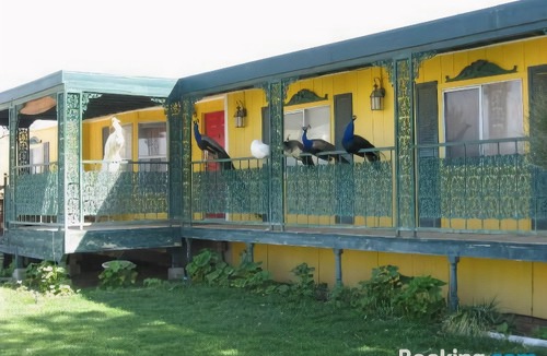 Beatty Hotel | Shady Lady Bed and Breakfast