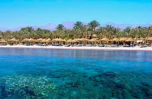Sharm El Sheikh Hotel | Fayrouz Resort