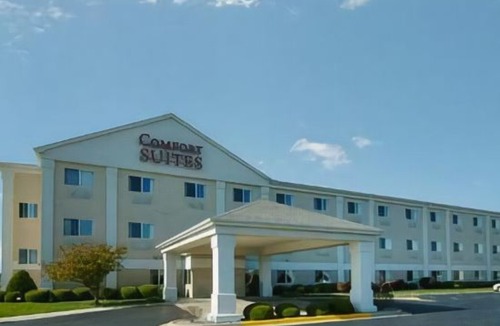Saginaw Hotel | Comfort Suites Saginaw