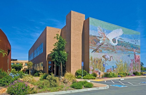 American Canyon Hotel | DoubleTree by Hilton Hotel & Spa Napa Valley - American Canyon
