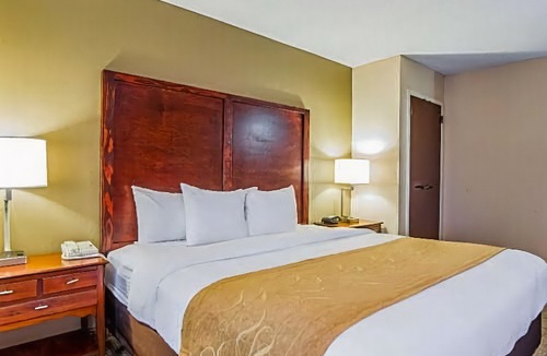 Sumter Hotel | Comfort Suites Sumter