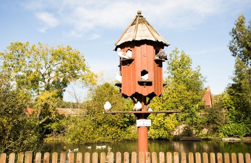 Horsham St Faith Hotel | OYO Elm Farm Country House