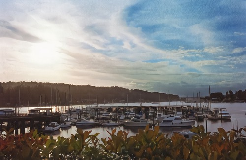 Gig Harbor Hotel | Best Western Wesley Inn & Suites
