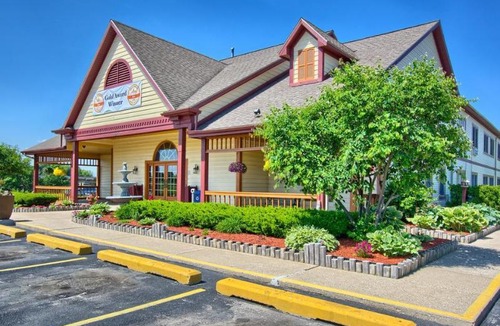 Grand Rapids Hotel | Econo Lodge Inn & Suites
