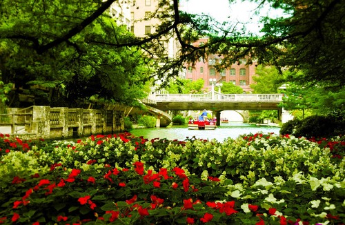 Far North Central Hotel | Courtyard by Marriott San Antonio Six Flags at The Rim