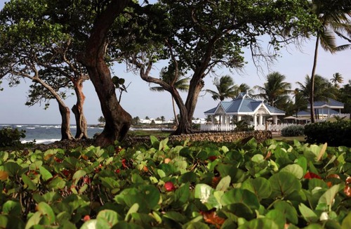 Lowlands Hotel | Magdalena Grand Beach & Golf Resort