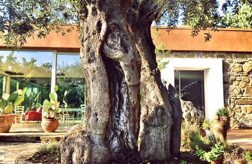 Capaccio-Paestum Hotel | Casale Giancesare Villa Agricola