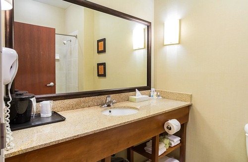 Twinsburg Hotel | Comfort Suites Twinsburg