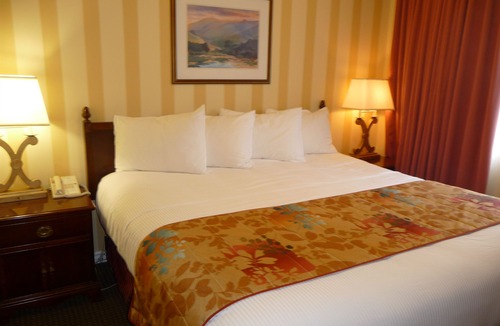 Burnside Hotel | Arbutus Inn