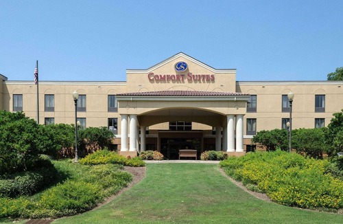 Starkville Hotel | Comfort Suites Starkville