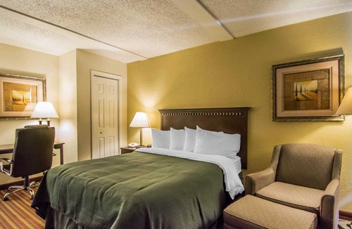 Disston Heights Hotel | Quality Inn & Suites at Tropicana Field