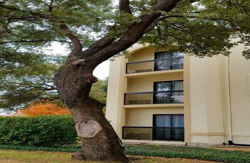 Las Colinas Hotel | Holiday Inn Irving Las Colinas, an Ihg Hotel