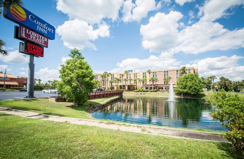 Florida Central Atlantic Coast Hotel | Comfort Inn Maingate