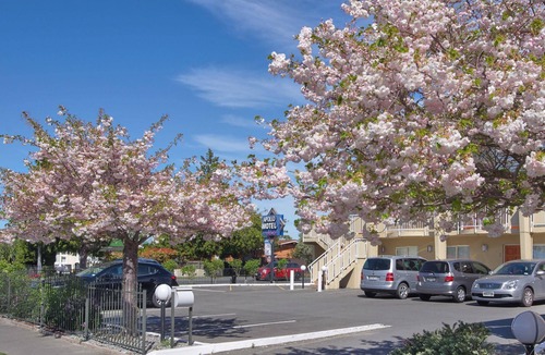 Upper Riccarton Hotel | Apollo Motel, Christchurch