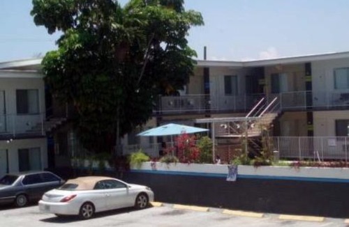Northeast Miami Hotel | Selina Gold Dust