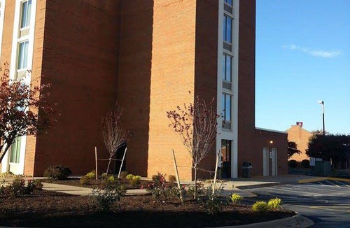 Fredericksburg Hotel | Holiday Inn Express Fredericksburg - Southpoint, an Ihg Hotel