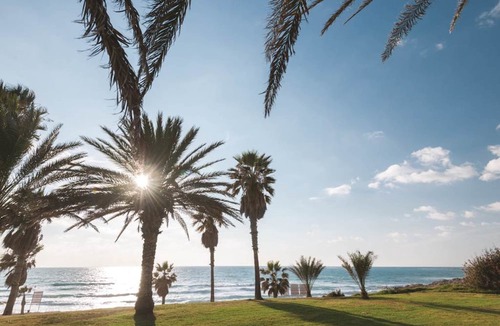 Paphos Hotel | Venus Beach Hotel
