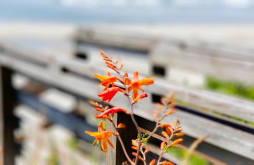 Newport Hotel | Nye Beach Condos & Cottages