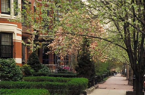 Woburn Hotel | Best Western Plus New Englander