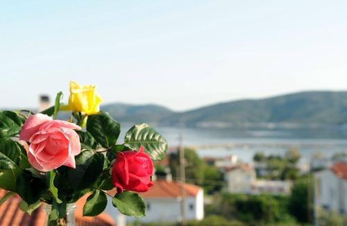 Agii Apostoli Hotel | Triantafilia Guesthouse