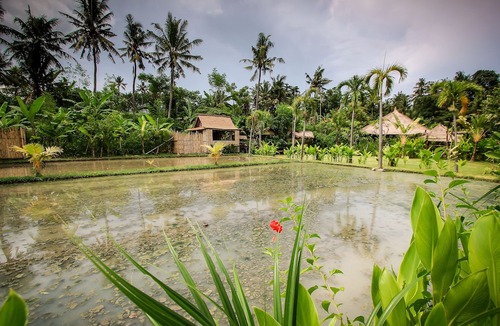 Keramas Hotel | Keramas Sacred River Village