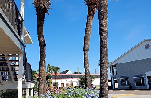 Titusville Hotel | Best Western Space Shuttle Inn