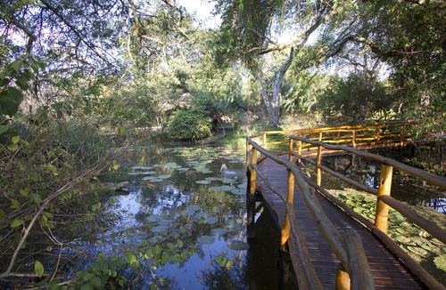 Komanyana Hotel | Camp Nkwazi