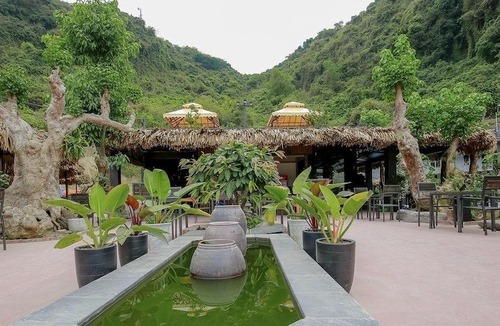 Cat Hai Hotel | Catba Oasis Bungalows - Hostel
