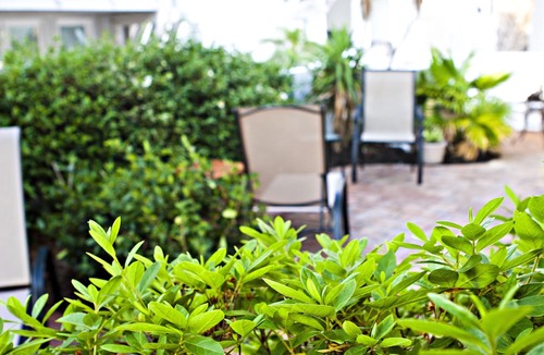 Tybee Island Hotel | DeSoto Beach Gardens