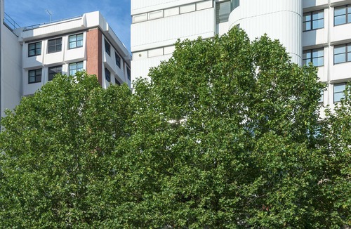 Grove Hotel | Travelodge Kingston upon Thames Central