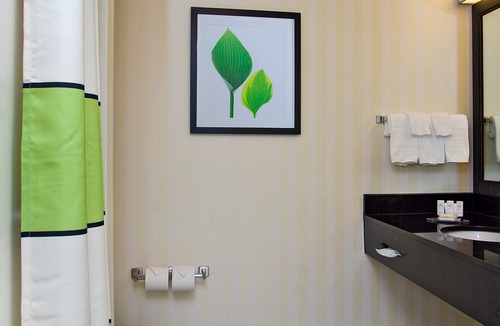Downtown San Antonio Hotel | Fairfield Inn & Suites by Marriott San Antonio Downtown/Alamo Plaza