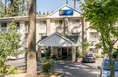 Lacey Hotel | Comfort Inn Lacey - Olympia