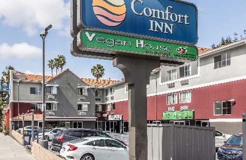 Sunset Junction Hotel | Comfort Inn Los Angeles Near Hollywood