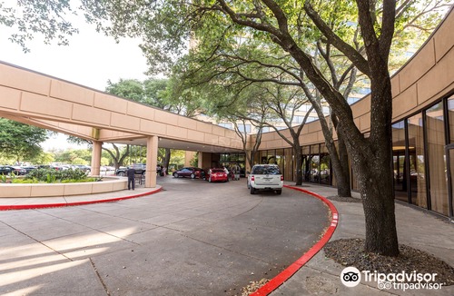 McKinney Hotel | Austin Southpark Hotel
