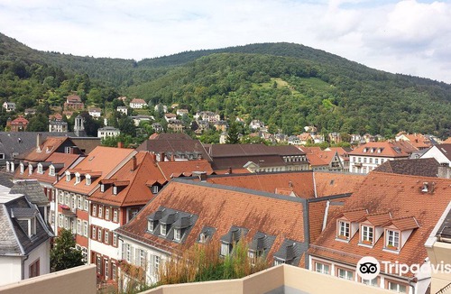 Heidelberg City Centre Hotel | Hotel am Schloss